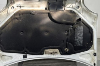 Capot RENAULT KANGOO 1