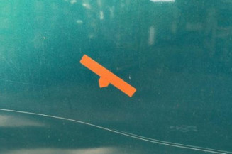 Porte avant gauche RENAULT KANGOO 1