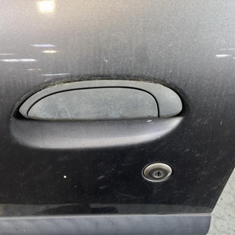 Porte avant gauche RENAULT CLIO 2 Photo n°2
