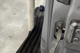 Porte avant gauche RENAULT CLIO 2