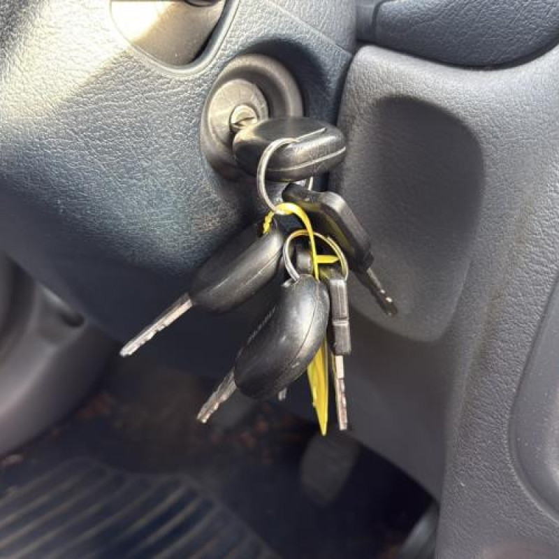 Porte avant gauche RENAULT CLIO 2 Photo n°18