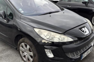 Pedale d'accelerateur PEUGEOT 308 1