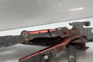 Charniere de capot RENAULT CLIO 4 Photo n°1