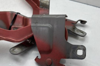 Charniere de capot RENAULT CLIO 4