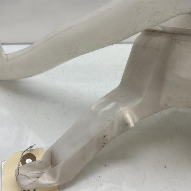 Vase de lave glace RENAULT CLIO 4 Photo n°4