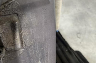 Porte arriere droit RENAULT CLIO 2