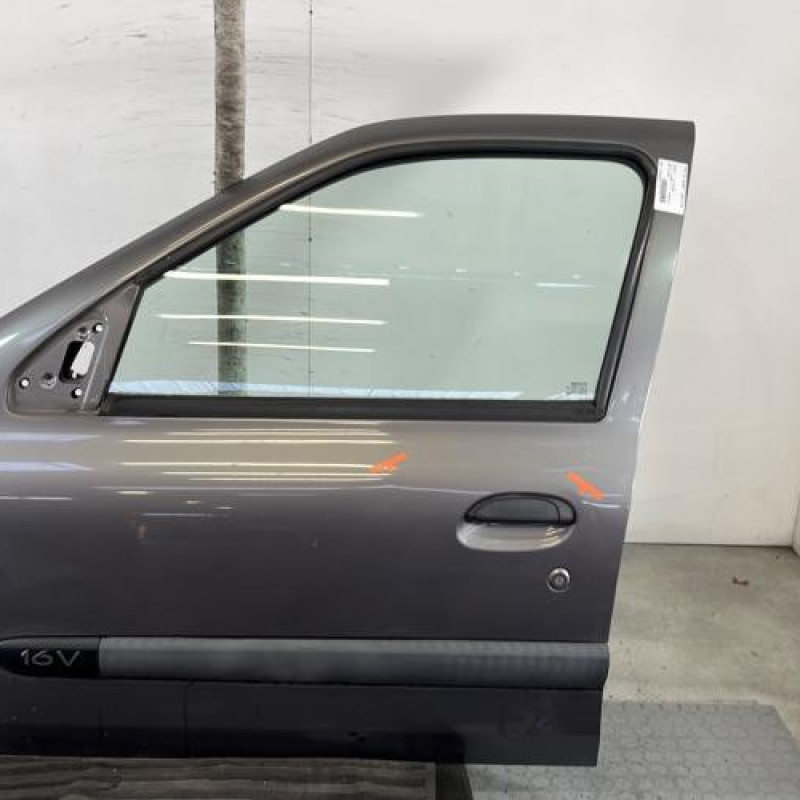 Porte avant gauche RENAULT CLIO 2 Photo n°1