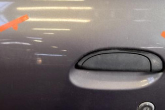 Porte avant gauche RENAULT CLIO 2