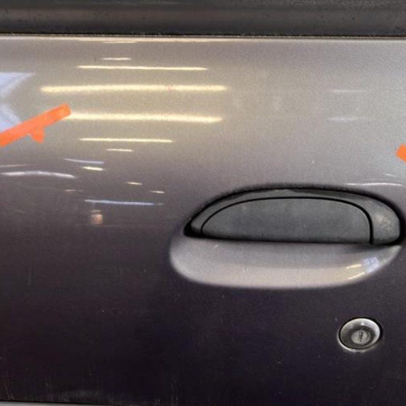 Porte avant gauche RENAULT CLIO 2 Photo n°2