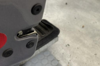 Porte avant gauche RENAULT CLIO 2