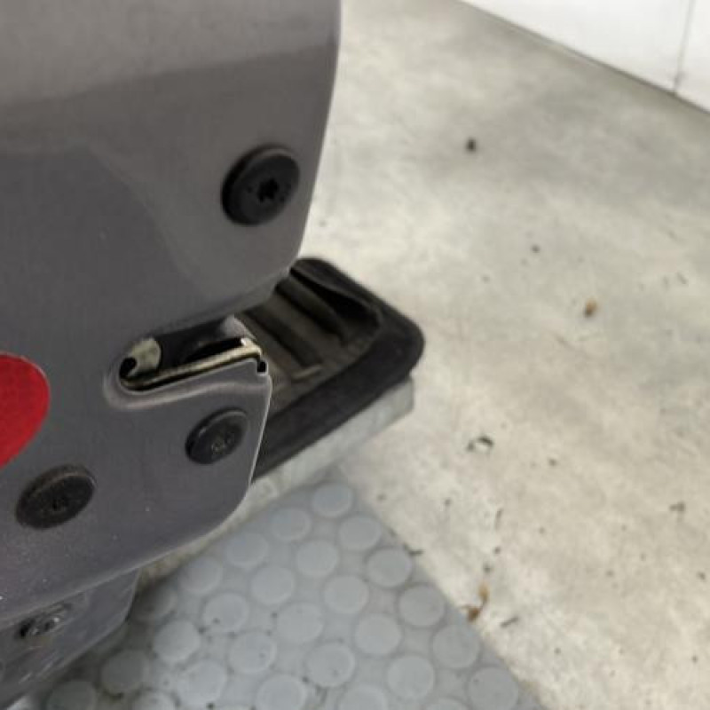 Porte avant gauche RENAULT CLIO 2 Photo n°3