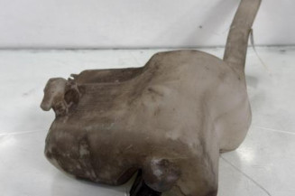 Vase de lave glace RENAULT MASTER 3