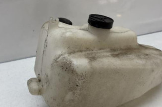 Vase de lave glace RENAULT CLIO 1