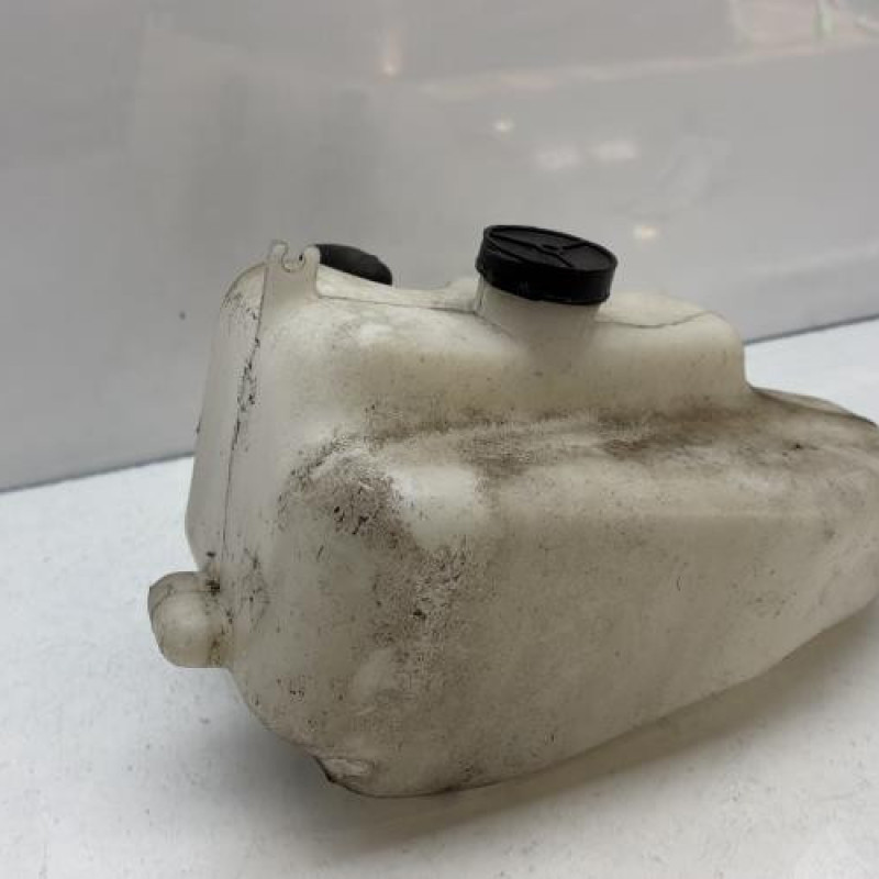 Vase de lave glace RENAULT CLIO 1 Photo n°4