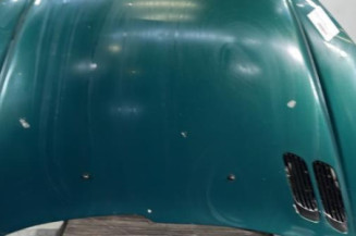 Capot PEUGEOT 206 Photo n°1