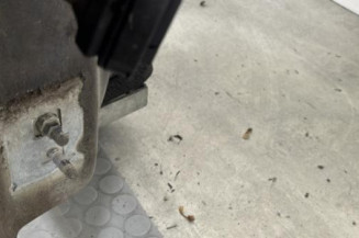 Porte avant droit RENAULT CLIO 3