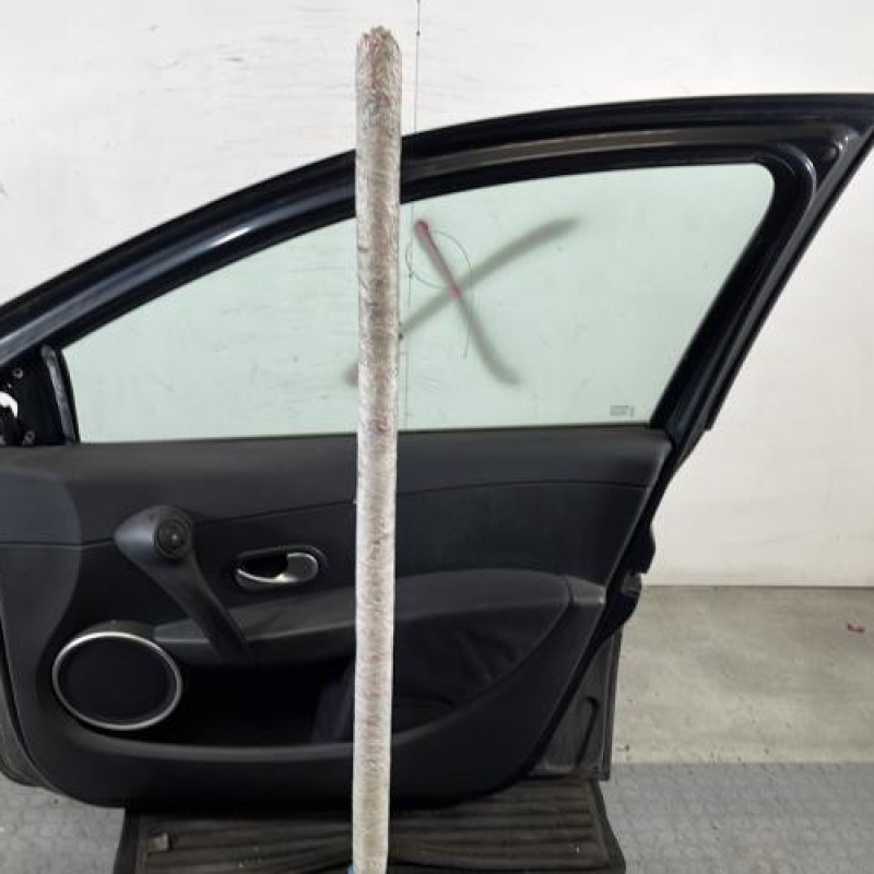 Porte avant droit RENAULT CLIO 3 Photo n°7
