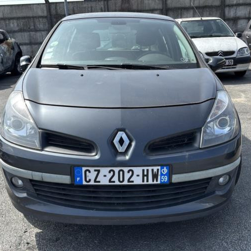 Porte avant droit RENAULT CLIO 3 Photo n°15