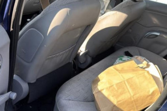 Vitre arriere gauche CITROEN C3 1