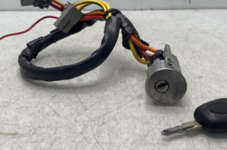 Neiman RENAULT SAFRANE Photo n°1