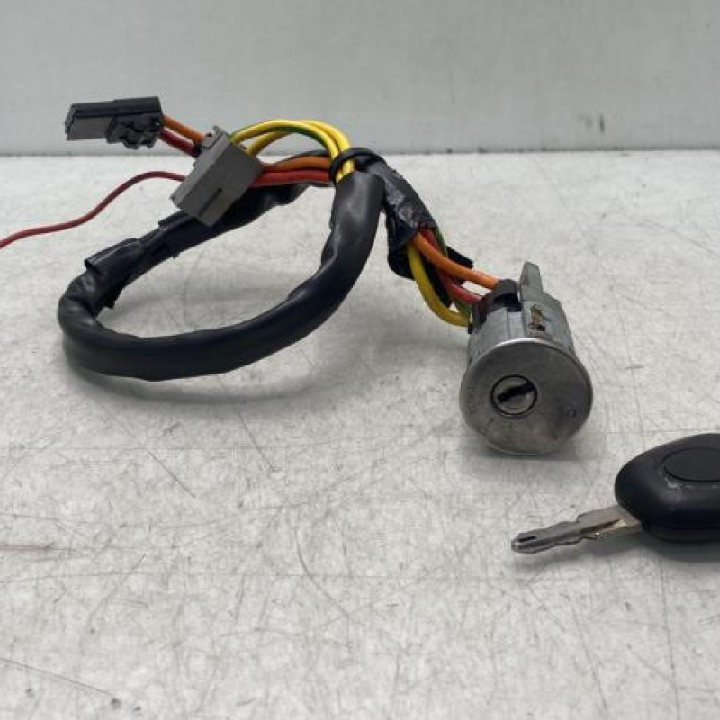 Neiman RENAULT SAFRANE Photo n°1