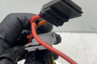 Neiman RENAULT SAFRANE