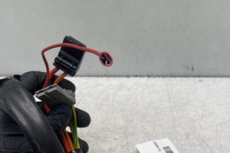 Neiman RENAULT SAFRANE