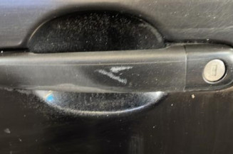 Porte avant gauche PEUGEOT 307