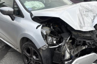 Malle/Hayon arriere RENAULT CLIO 4