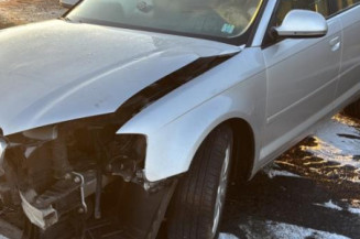 Pivot de moyeu arriere droit AUDI A3 2 Photo n°1