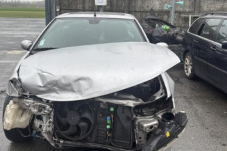 Vase de lave glace PEUGEOT 406