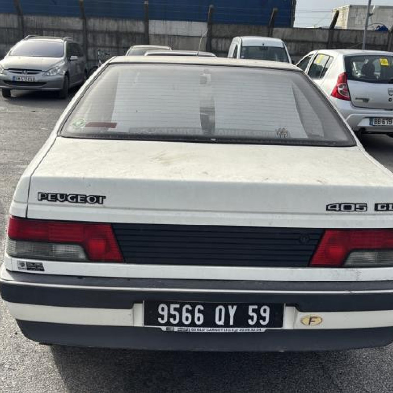 Baguette de porte arriere gauche  PEUGEOT 405 Photo n°5