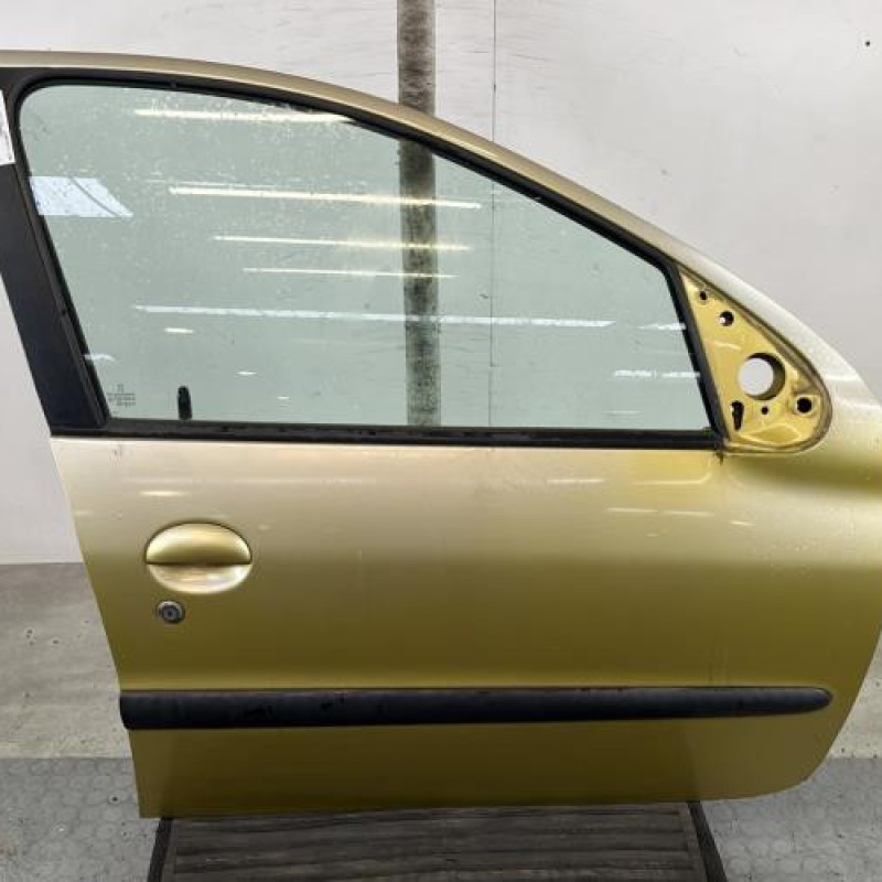 Porte avant droit PEUGEOT 206 Photo n°1