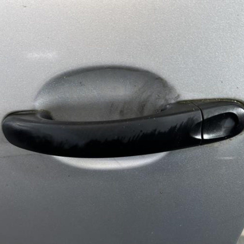 Porte avant gauche VOLKSWAGEN GOLF PLUS Photo n°2