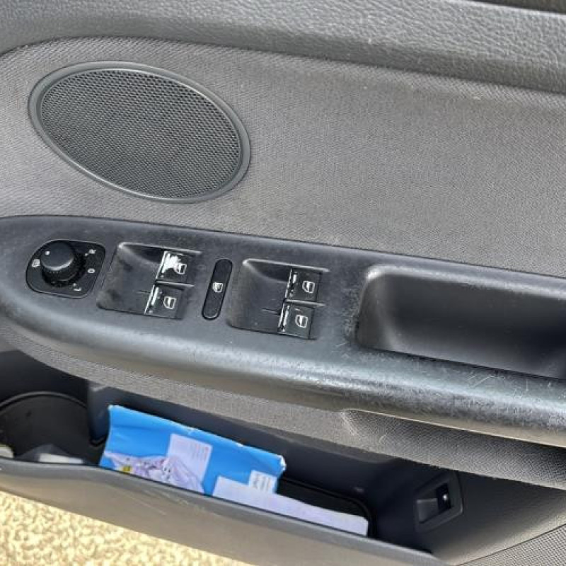 Porte avant gauche VOLKSWAGEN GOLF PLUS Photo n°18