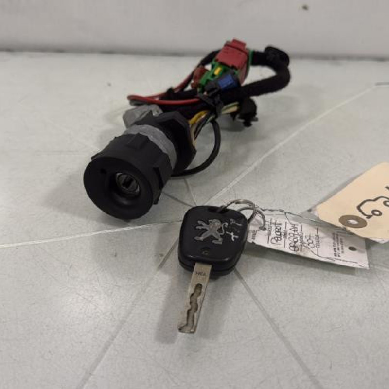 Neiman PEUGEOT 307 Photo n°1