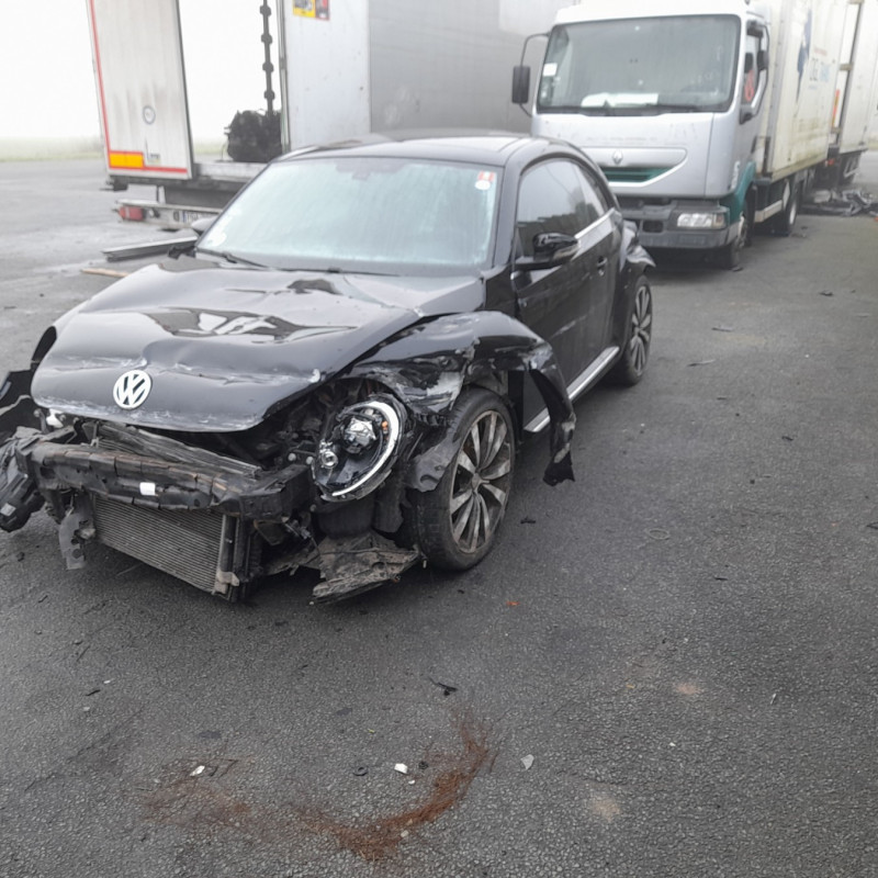 VOLKSWAGEN BEETLE 2 PHASE 2 2.0 TDI - 16V TURBO Photo n°1