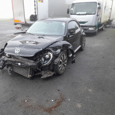 VOLKSWAGEN BEETLE 2 PHASE 2 2.0 TDI - 16V TURBO Photo n°1