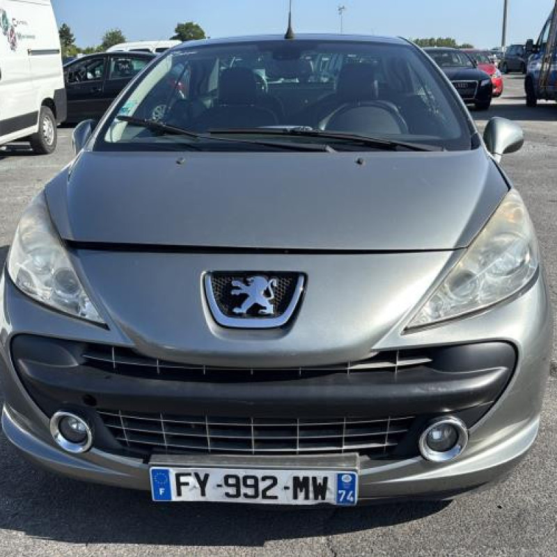 Face avant PEUGEOT 207 Photo n°8