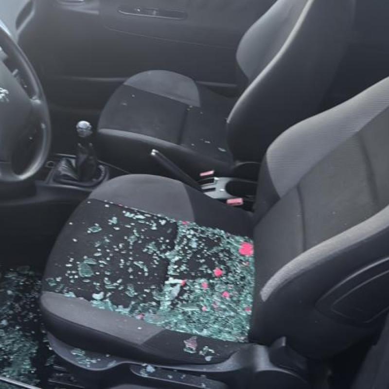 Face avant PEUGEOT 207 Photo n°10