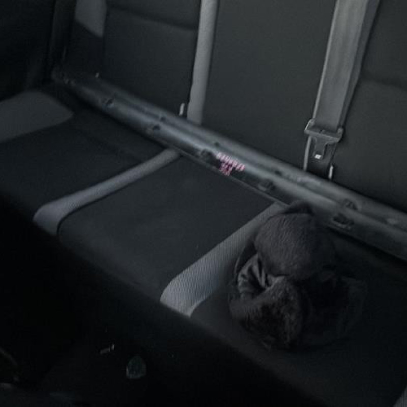 Face avant PEUGEOT 207 Photo n°11