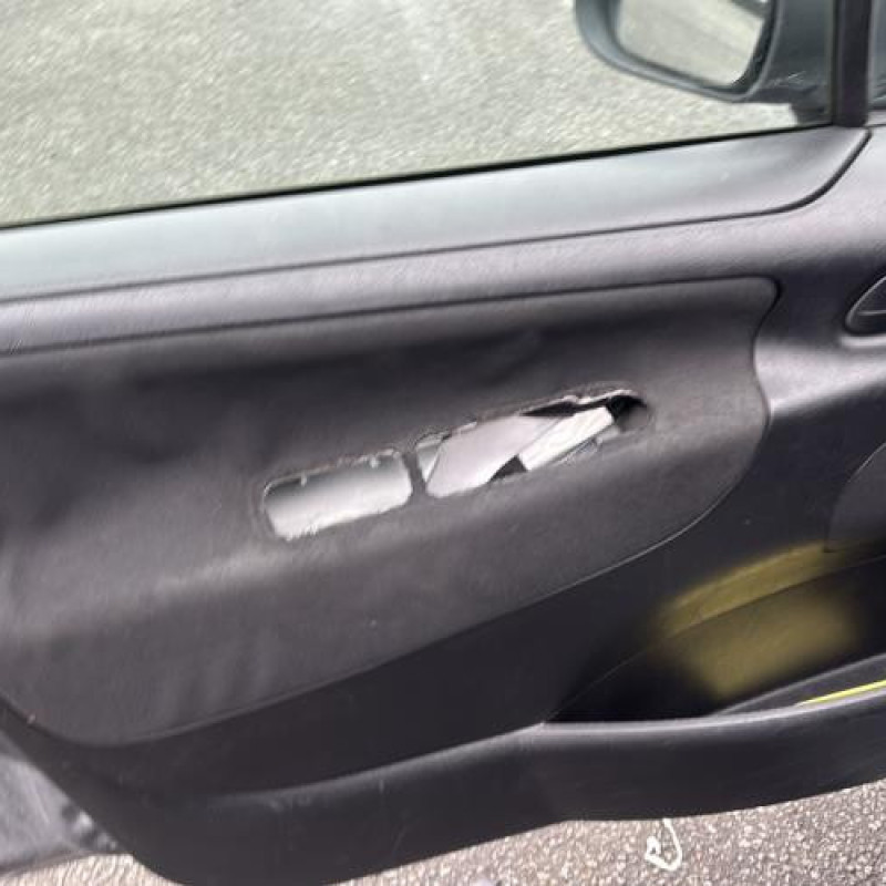 Face avant PEUGEOT 207 Photo n°9