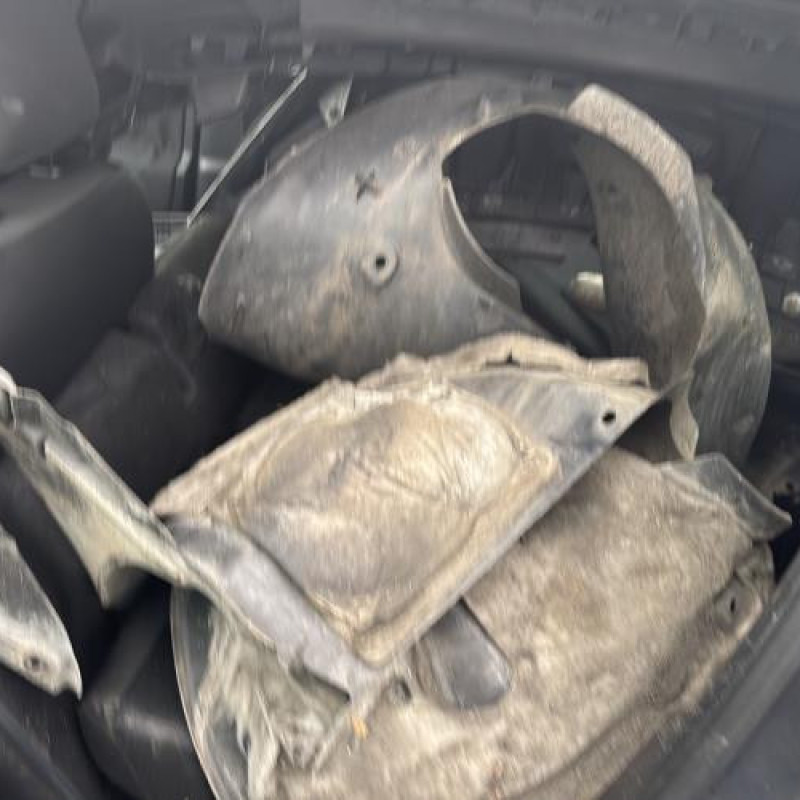 Face avant PEUGEOT 207 Photo n°11