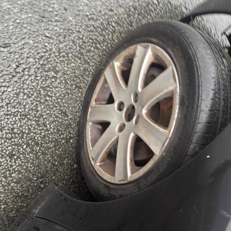 Face avant PEUGEOT 207 Photo n°19