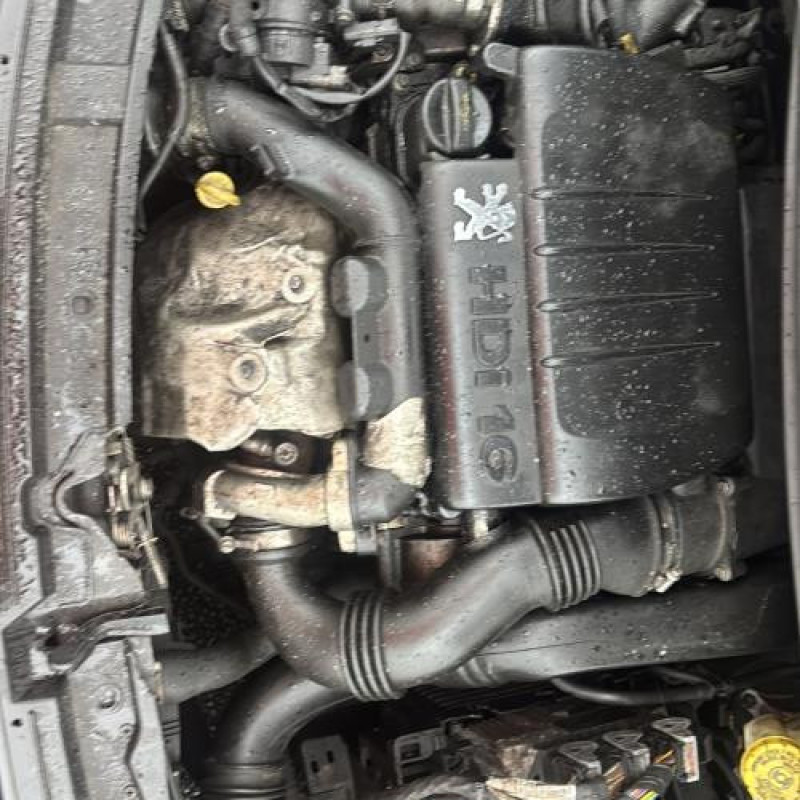 Face avant PEUGEOT 207 Photo n°20