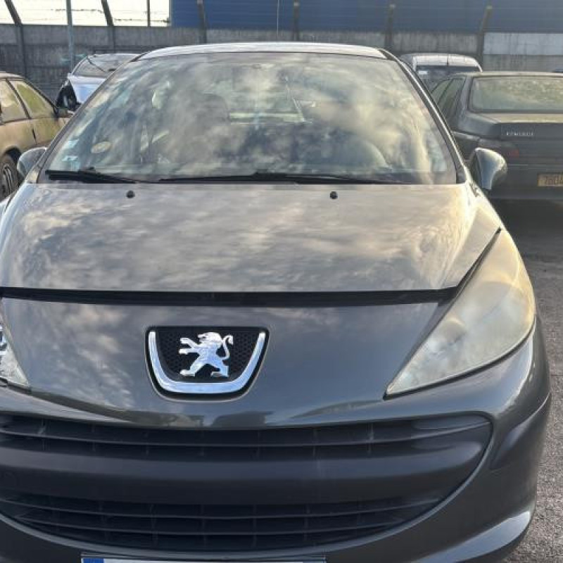 Face avant PEUGEOT 207 Photo n°8