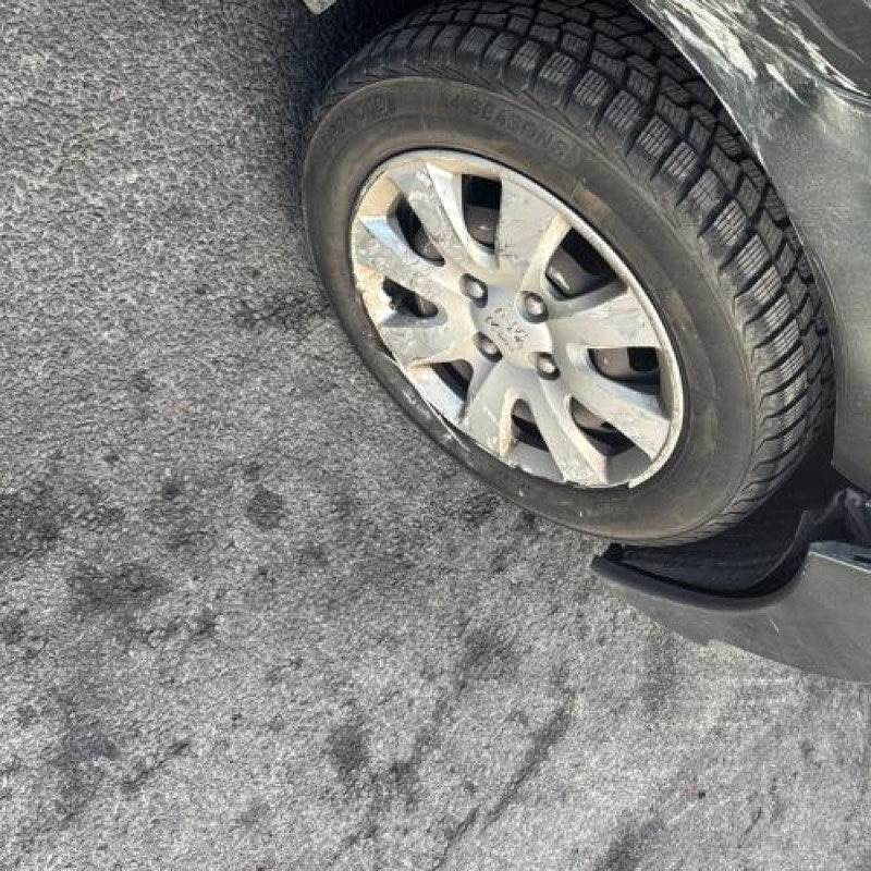 Face avant PEUGEOT 207 Photo n°20