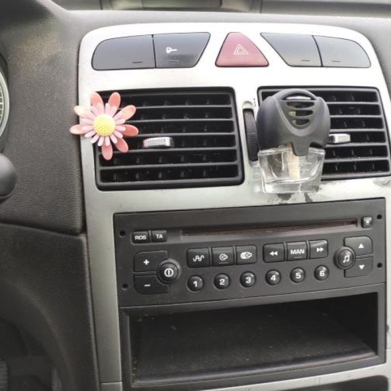 Custode arriere droit PEUGEOT 307 Photo n°16