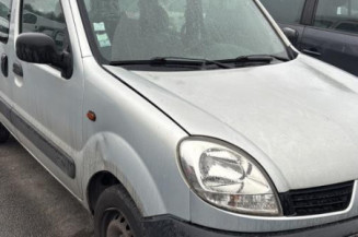 Pedale d'accelerateur RENAULT KANGOO 1