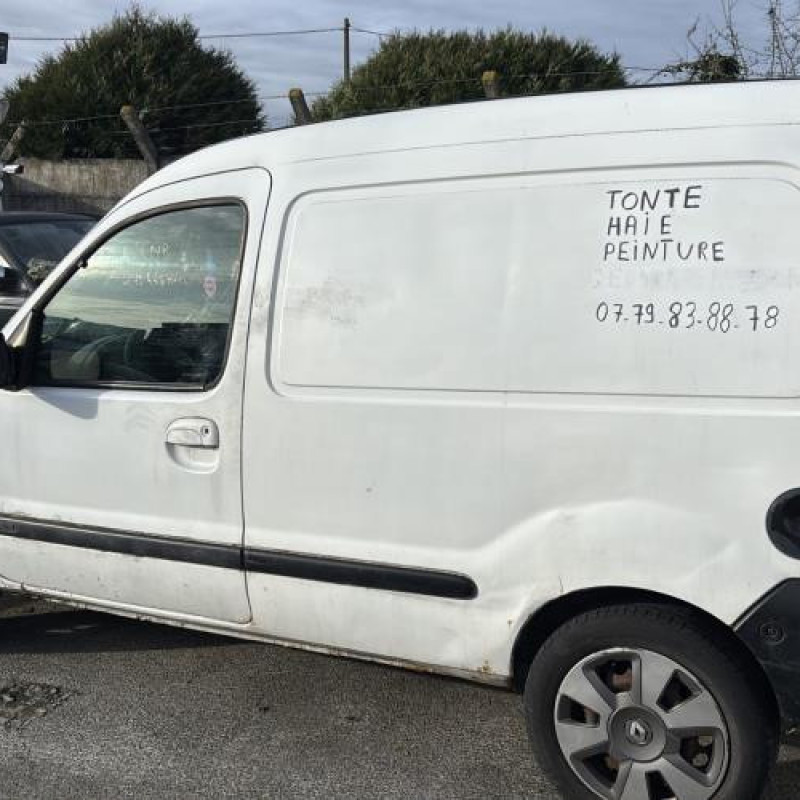 Neiman RENAULT KANGOO 1 Photo n°6